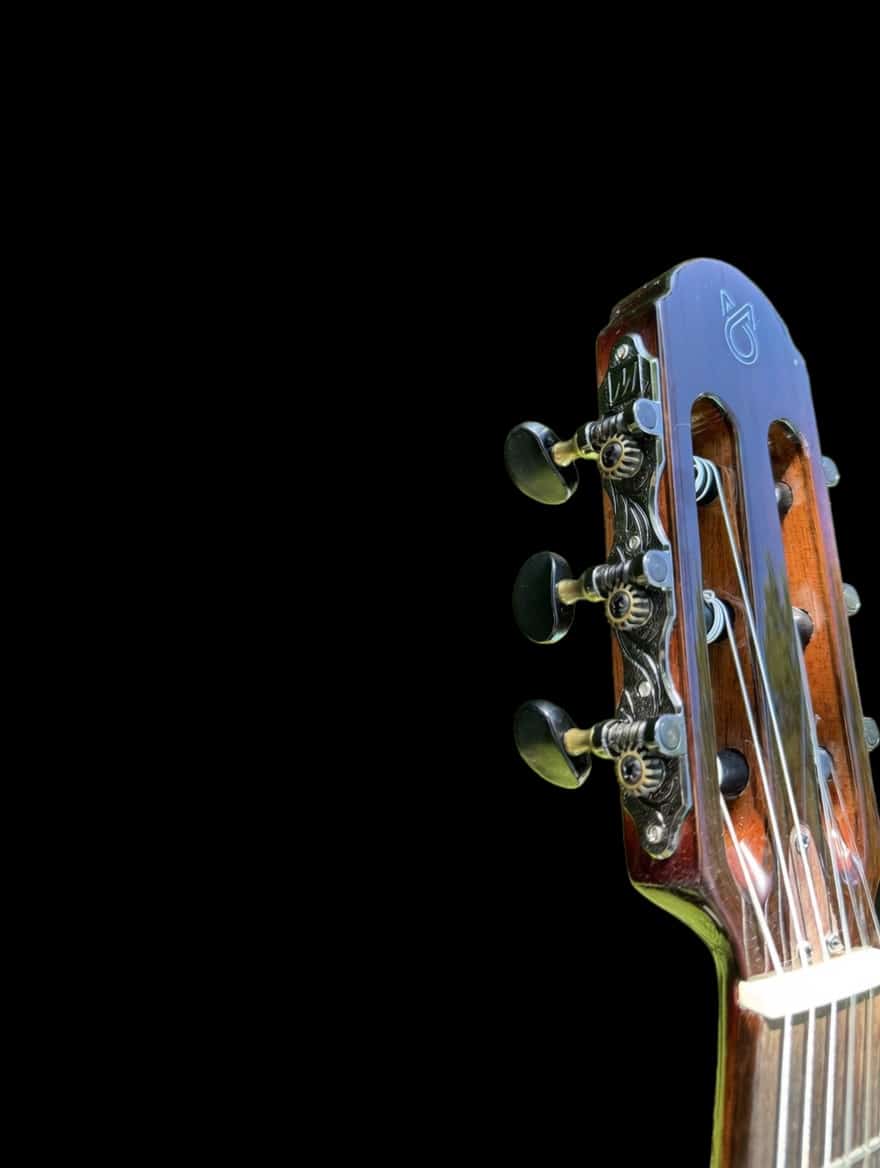 Martinez Hispania Cognac Classical Electric Guitar