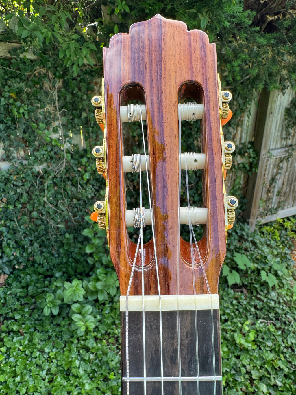 Flamenco Guitar Luthier Made