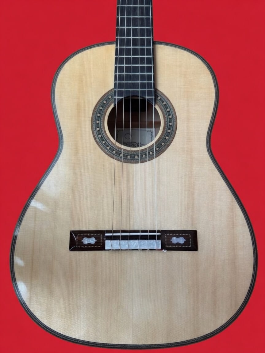 Rumi Torres Inspired Handcrafted Guitar