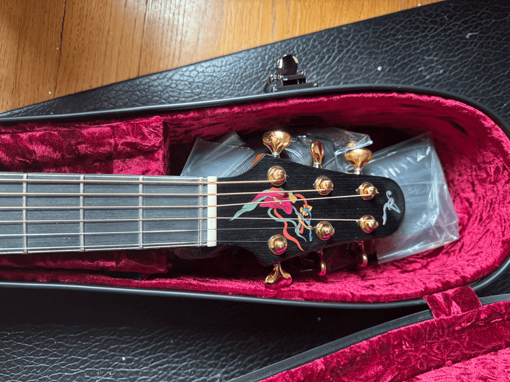 Yulong Guo Echoes Double Top Steel String Guitar, Cedar, Rosewood