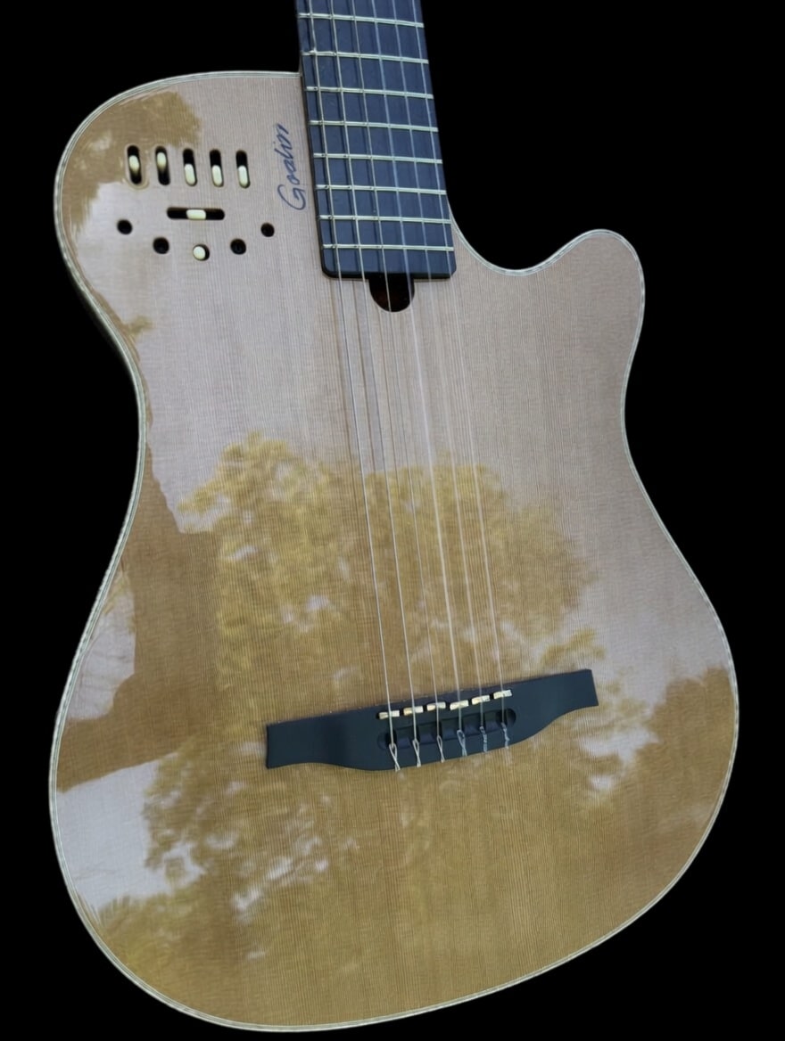 Godin MultiAc Grand Concert Deluxe