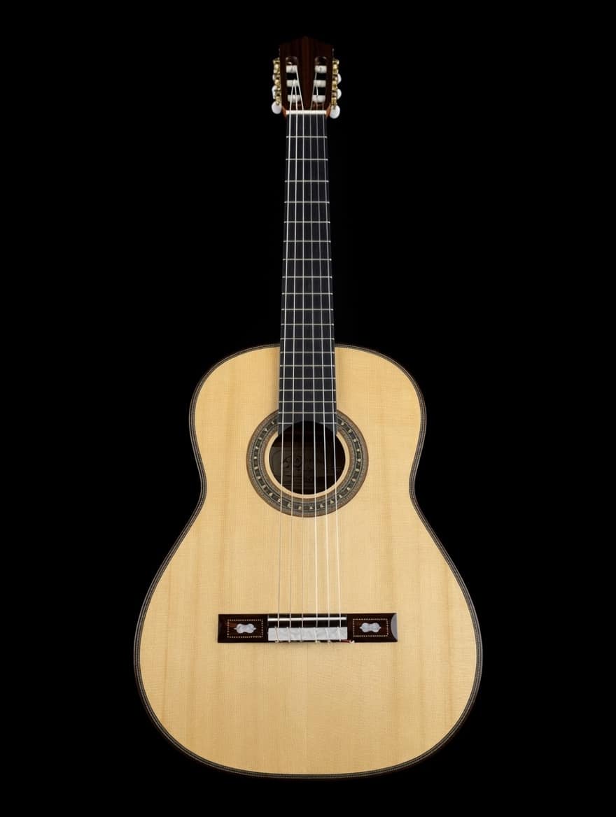 Rumi Torres Inspired Handcrafted Guitar